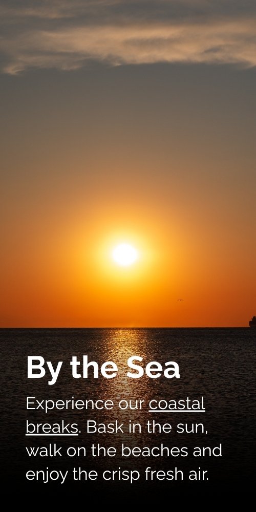 by the sea 500.jpg